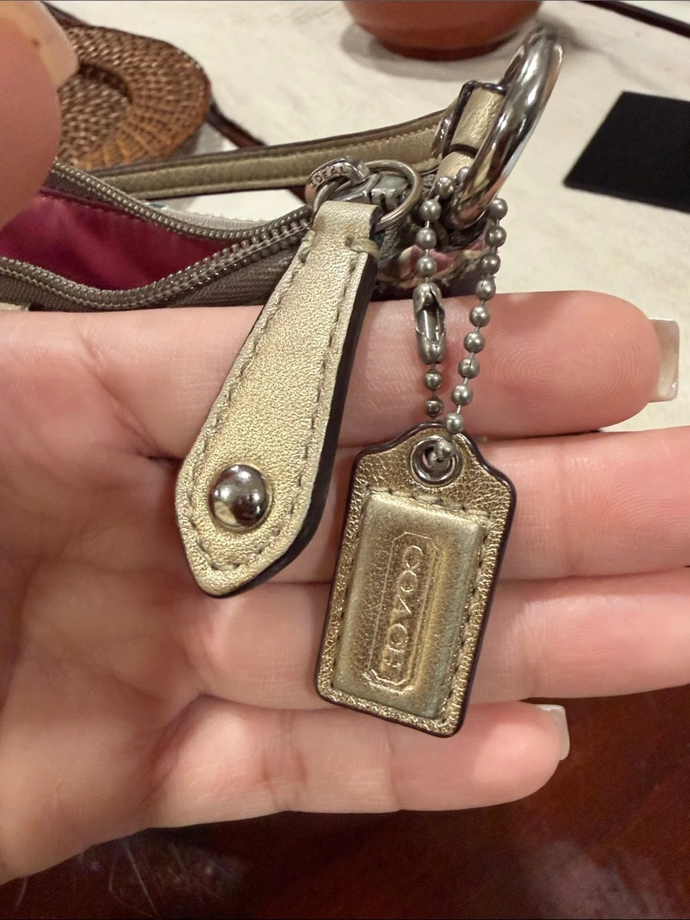 Coach Ashley Swingpack / Hippie Crossbody